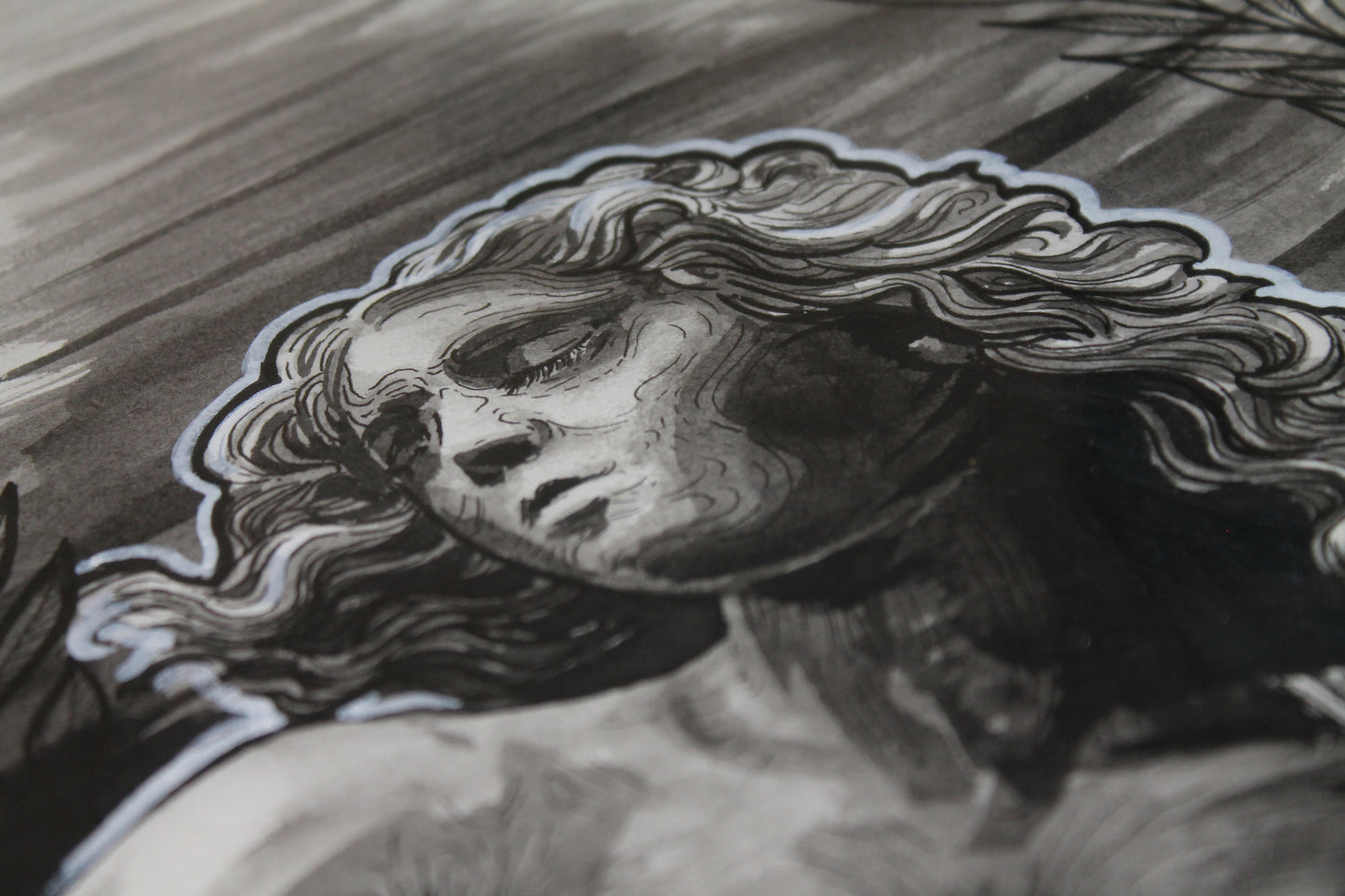 "Pulcher" (Roman-collection)